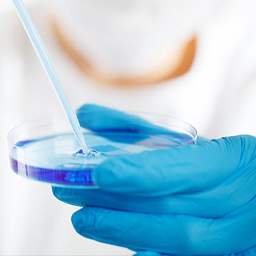 規范、品控管理